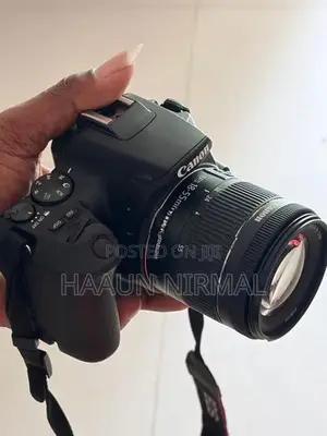 250 d
