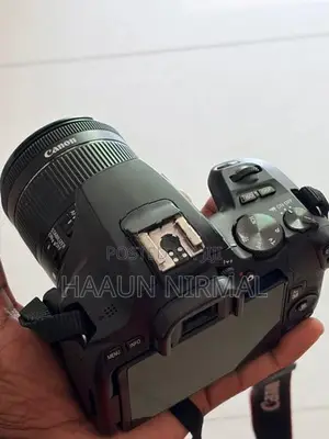 250 d