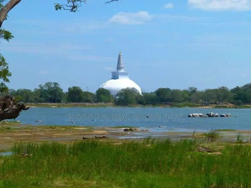 සින්නක්කර ඉඩමක් ඔබේ අතට අනුරාධපුර -සාලියපුර
