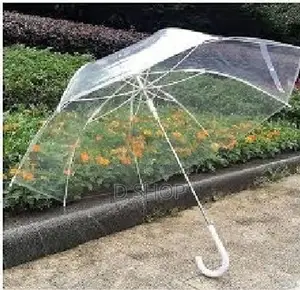 Transparent Large Umbrella