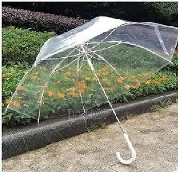 Transparent Large Umbrella