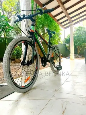 Tomahawk Riding Bicycle