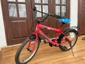 Mountain Bicycle