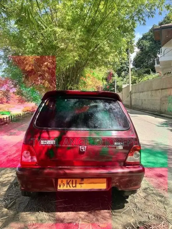 Maruti Suzuki 800 2012