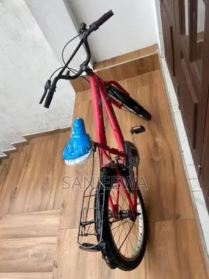 Mountain Bicycle