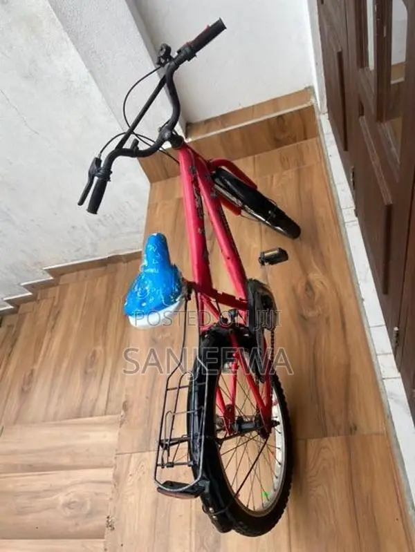 Mountain Bicycle