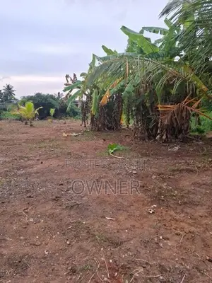 Prime Developed Land for Sale - Wattala Hunupitiya