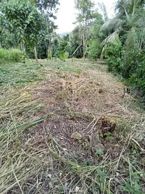 Land for Sale in Tholangamuwa Kegalle