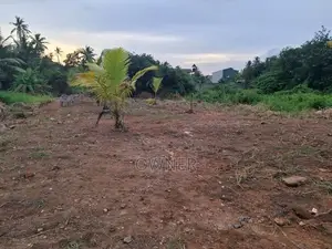 Prime Developed Land for Sale - Wattala Hunupitiya