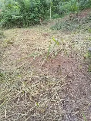 Land for Sale in Tholangamuwa Kegalle