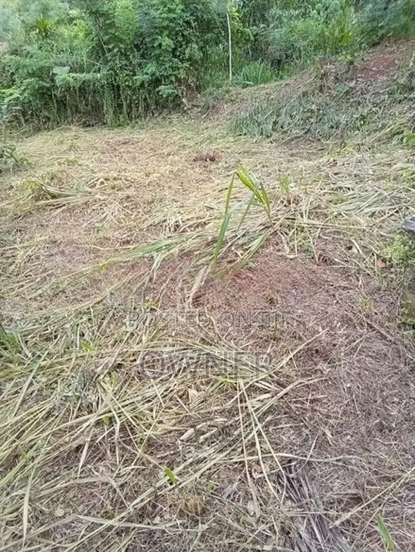 Land for Sale in Tholangamuwa Kegalle