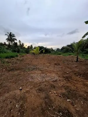 Prime Developed Land for Sale - Wattala Hunupitiya