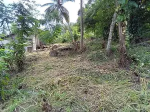 Land for Sale in Tholangamuwa Kegalle