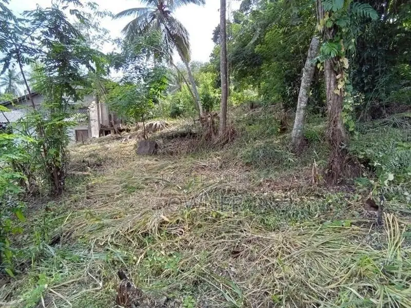 Land for Sale in Tholangamuwa Kegalle