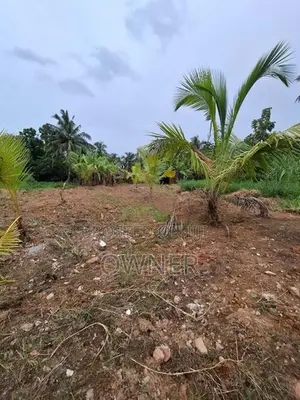 Prime Developed Land for Sale - Wattala Hunupitiya