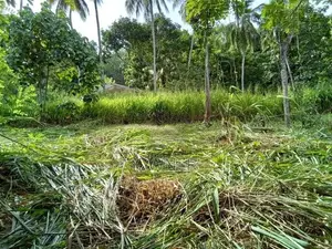 Land for Sale in Tholangamuwa Kegalle
