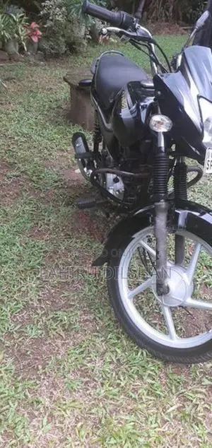 Bajaj Platina 100 2020