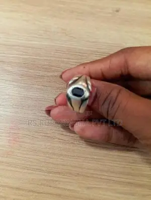 Silver Ring 05.8G