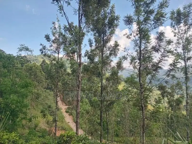 Land for Sale Nillamba