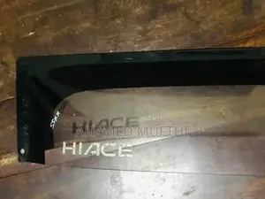 Door Visor