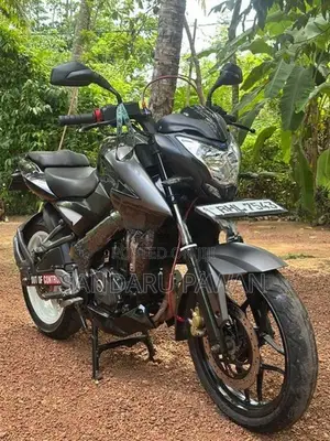Bajaj Pulsar NS200 NS 200 2019 2018