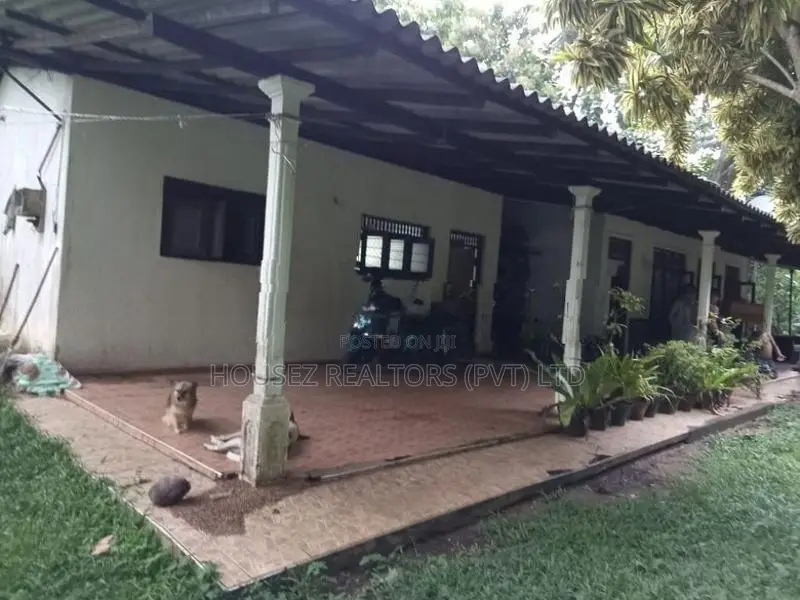 4+ Acre Agricultural Estate with 5-Bedroom House for Sale – Kurunegala