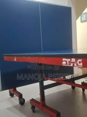 Stag Table tennis 1000DX