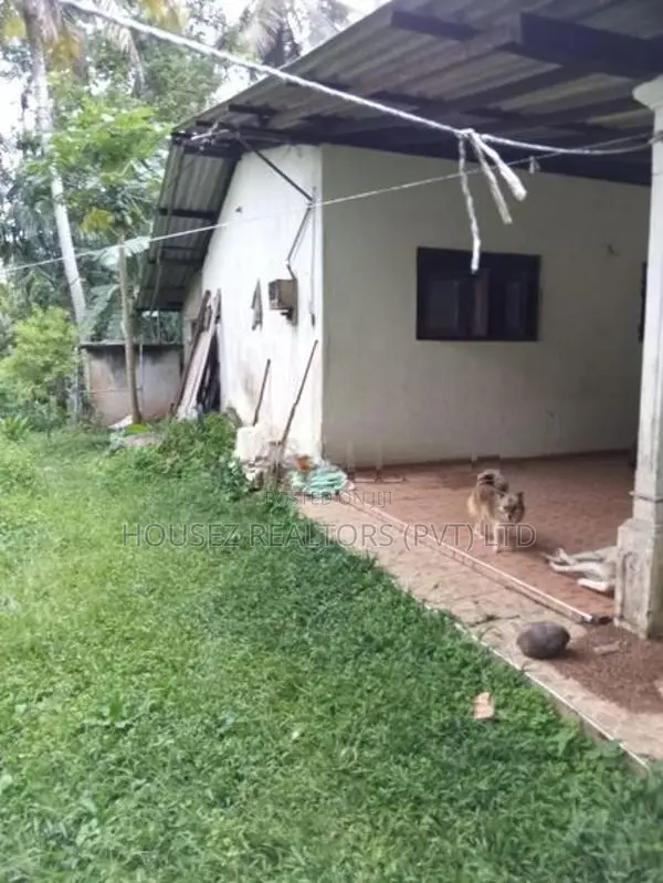 4+ Acre Agricultural Estate with 5-Bedroom House for Sale – Kurunegala