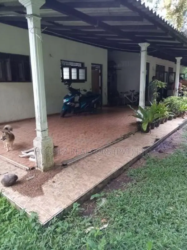 4+ Acre Agricultural Estate with 5-Bedroom House for Sale – Kurunegala