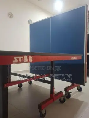 Stag Table tennis 1000DX