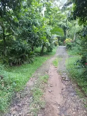 4+ Acre Agricultural Estate with 5-Bedroom House for Sale – Kurunegala