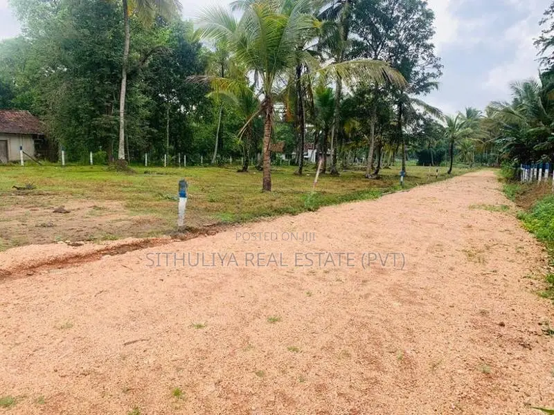 කුරුණෑගල-පොතුහැරින් නේවාසික බිම් කොටස් විකිණිමට