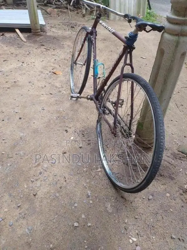 Bicycle
