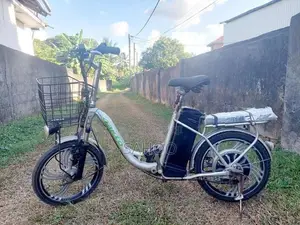 Electric Bicycle