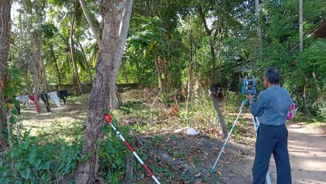 Coconut Land For Sale In Wadduwa