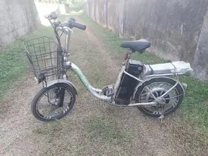 Electric Bicycle