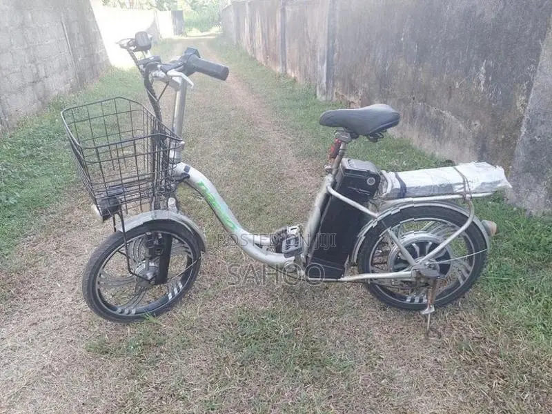 Electric Bicycle