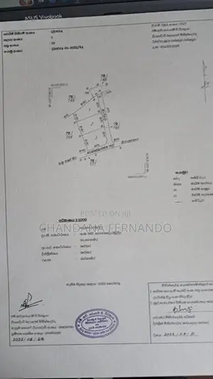 Coconut Land For Sale In Wadduwa
