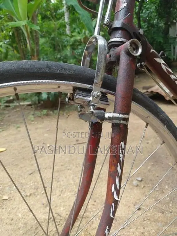 Bicycle