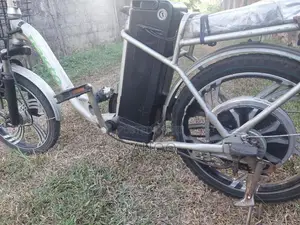 Electric Bicycle