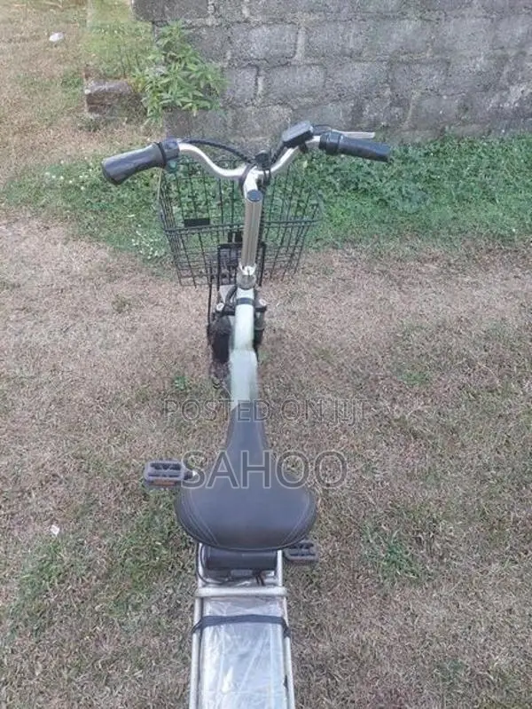 Electric Bicycle