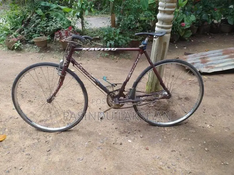 Bicycle