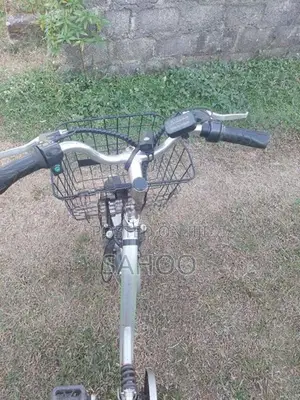 Electric Bicycle