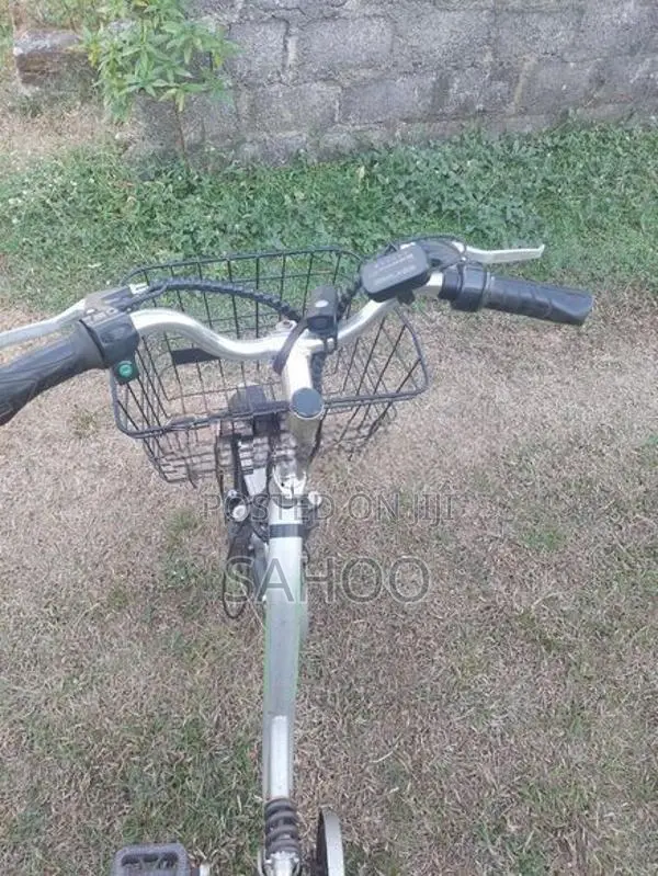Electric Bicycle