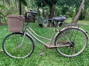 Ladies Bicycle