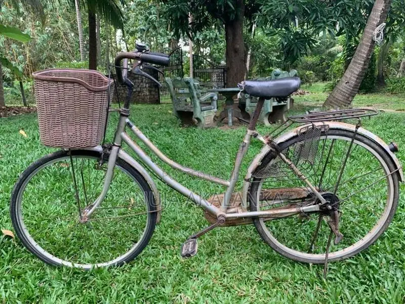 Ladies Bicycle