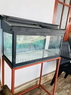 Fish tank