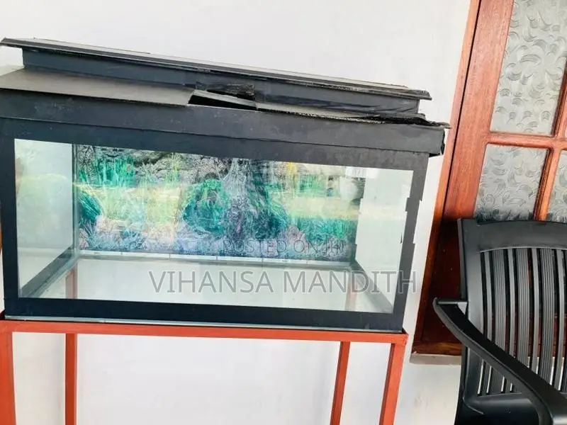 Fish tank
