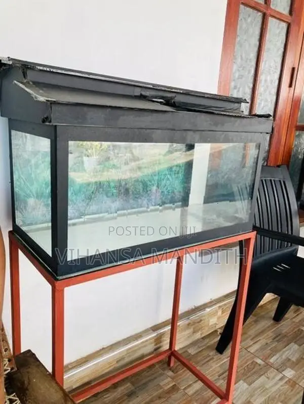 Fish tank
