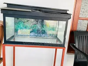 Fish tank